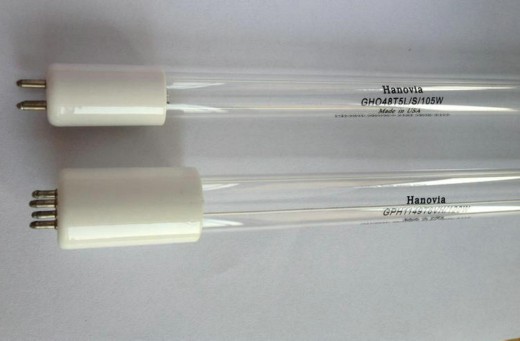 wonder、kadind、hanovia